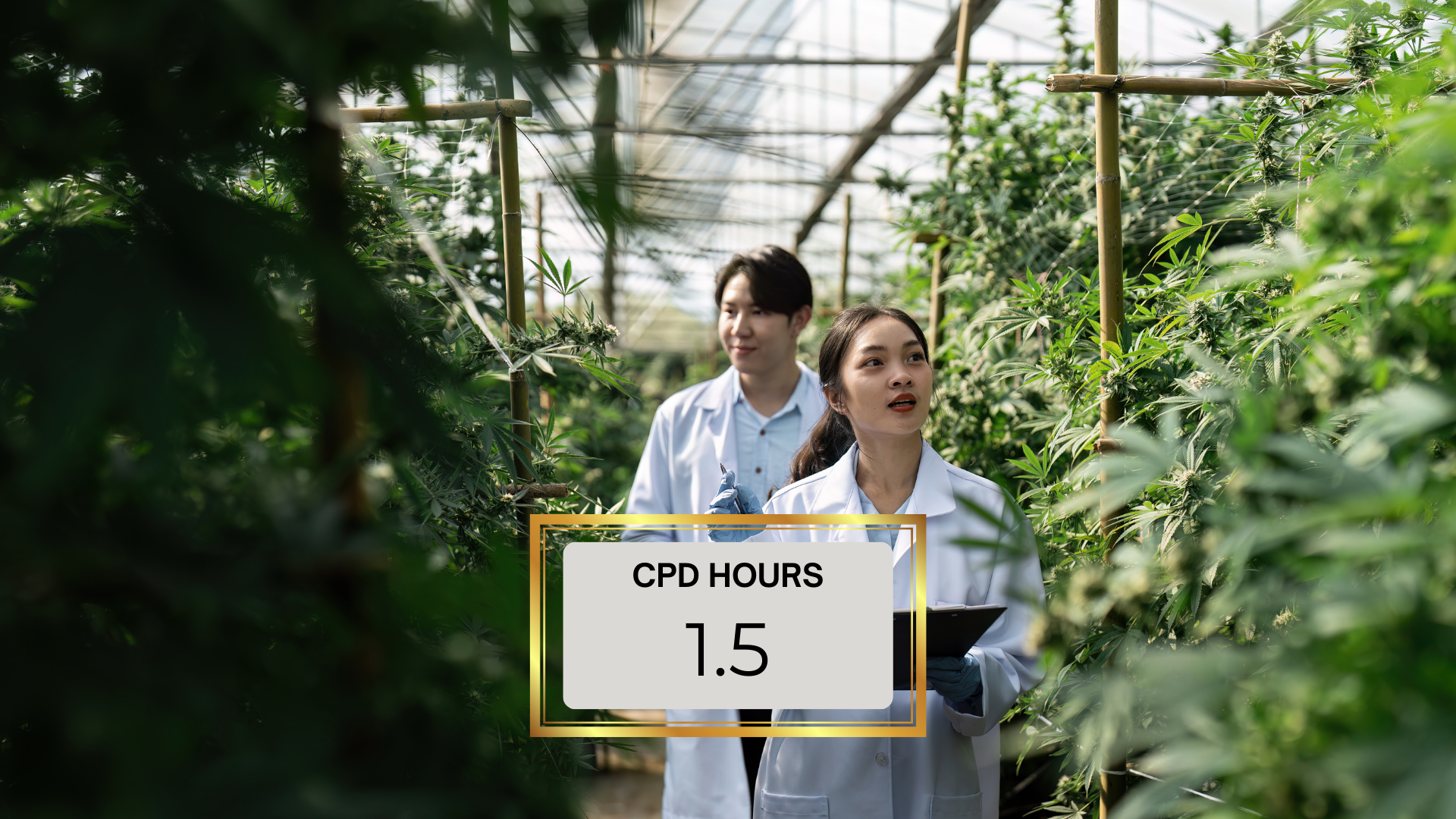 Medicinal Cannabis Foundations 2 - Phytocannabinoids & The Entourage Effect