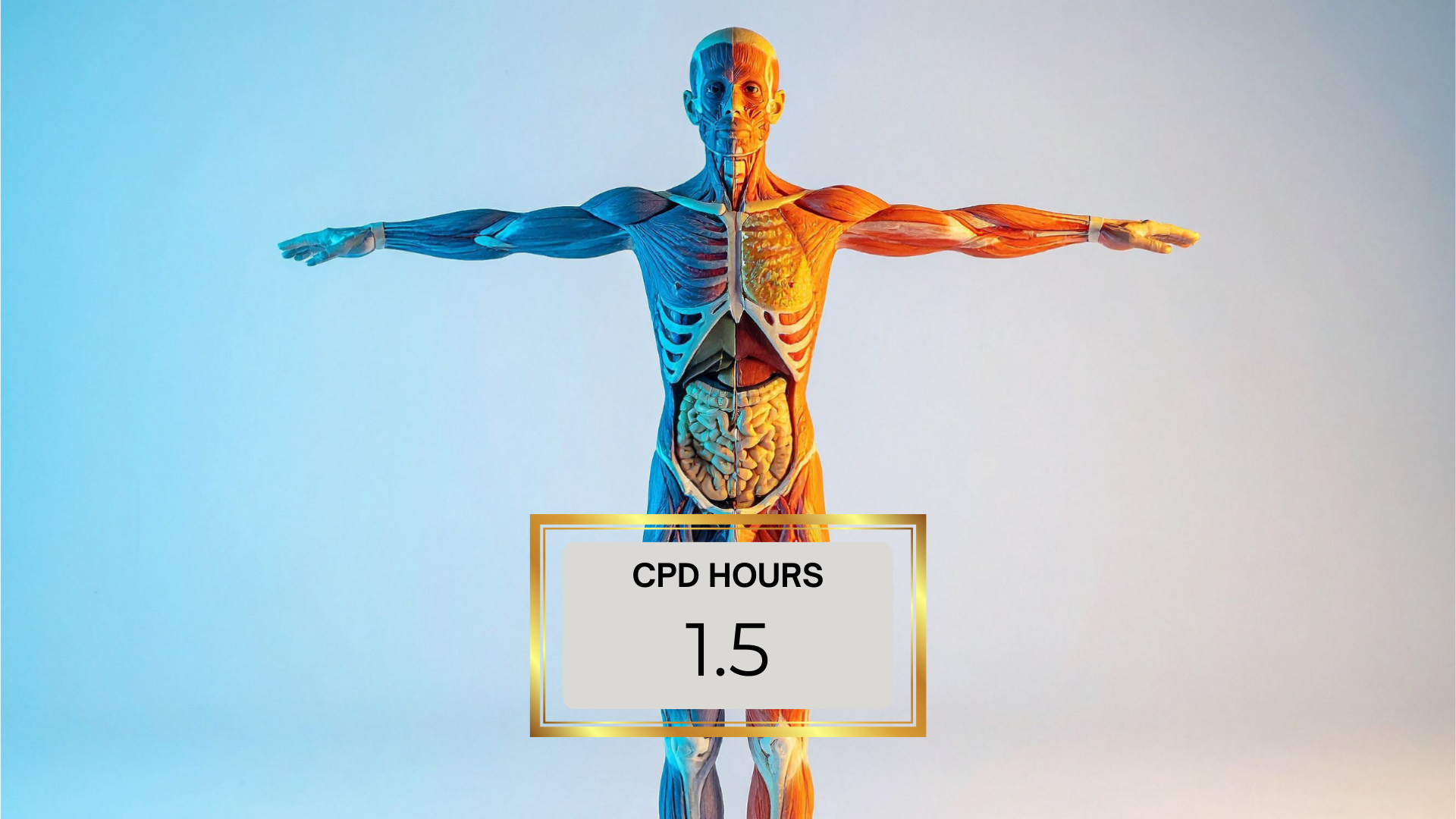 Medicinal Cannabis Foundations 1 - The Endocannabinoid System